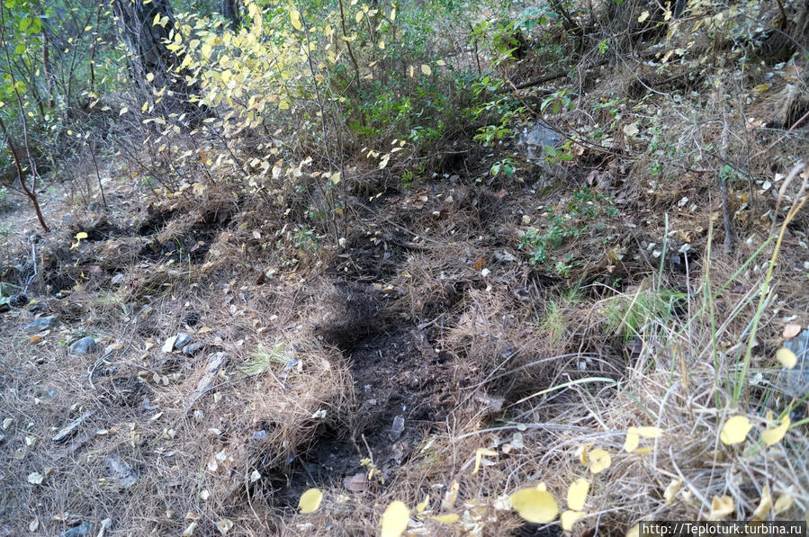 Утро в горах Торос Алания, Турция Утро в горах Торос Алания, Турция