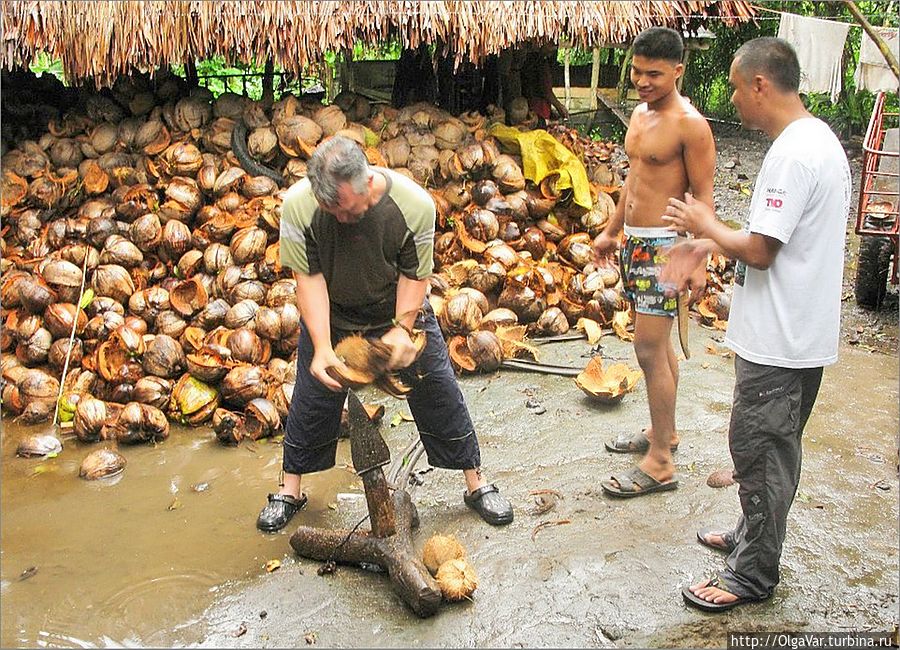 В общем-то не так уж и сложно очистить кокос Булусан, Филиппины
