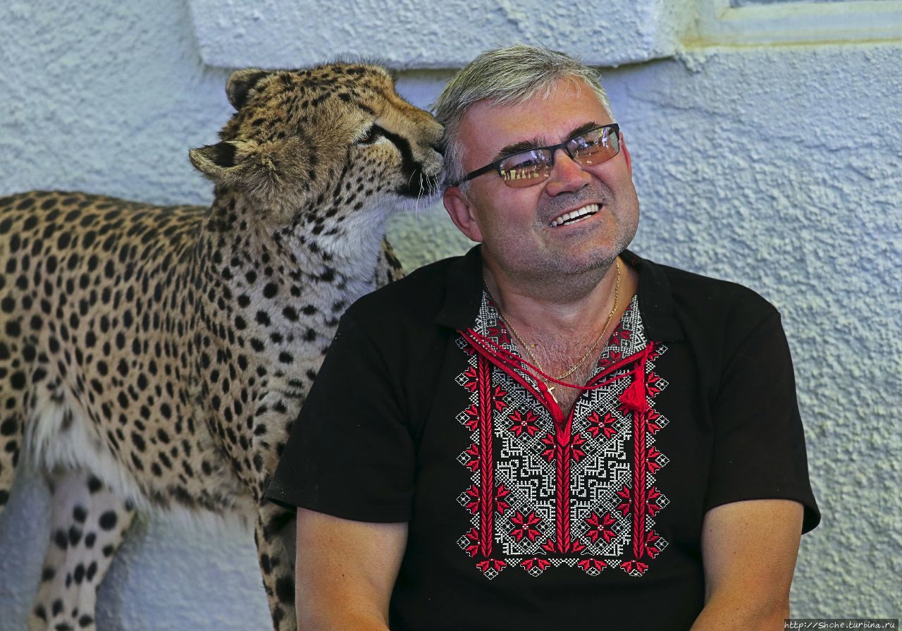 Ожитотонгве (ферма гепардов) Каманжаб, Намибия Ожитотонгве (ферма гепардов) Каманжаб, Намибия