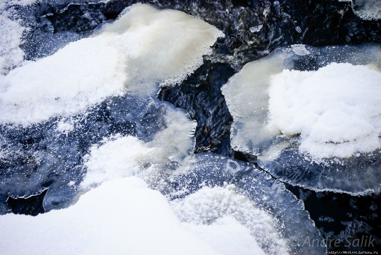 Мороз в парке Аркадия. Рига, Латвия Мороз в парке Аркадия. Рига, Латвия