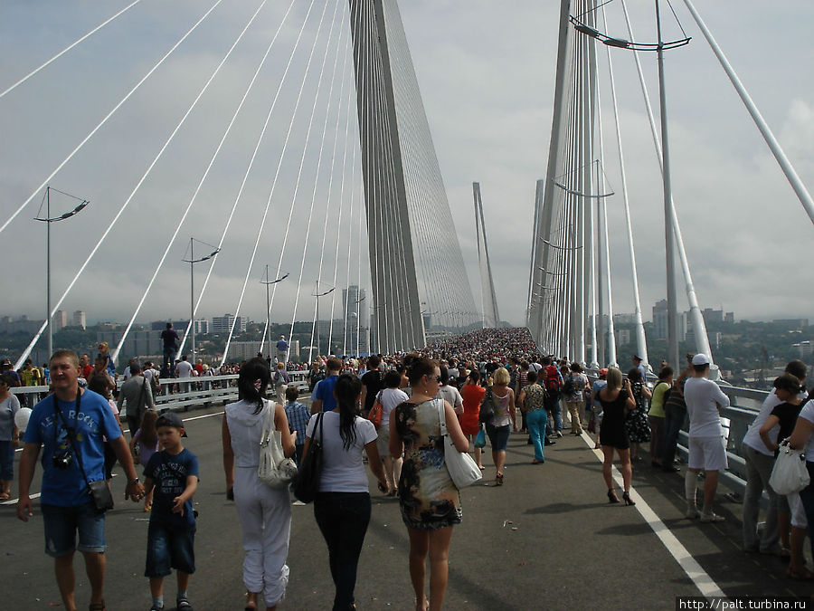 Мост через Золотой Рог открыт! Владивосток, Россия