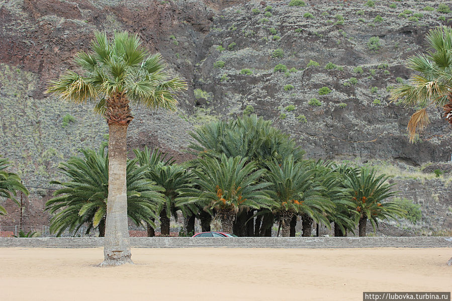 пляж Playa de las Teresitas. пляж Playa de las Teresitas.