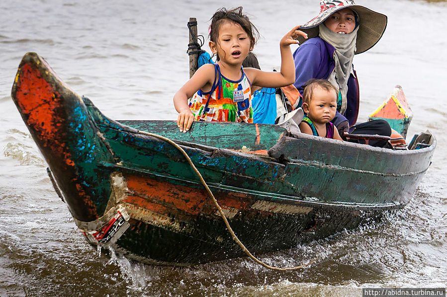 Плывут к нам Плывут к нам