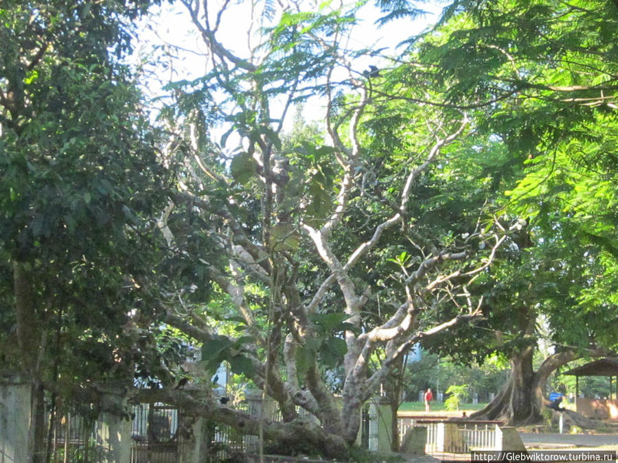 Университеты Янгона Янгон, Мьянма Университеты Янгона Янгон, Мьянма