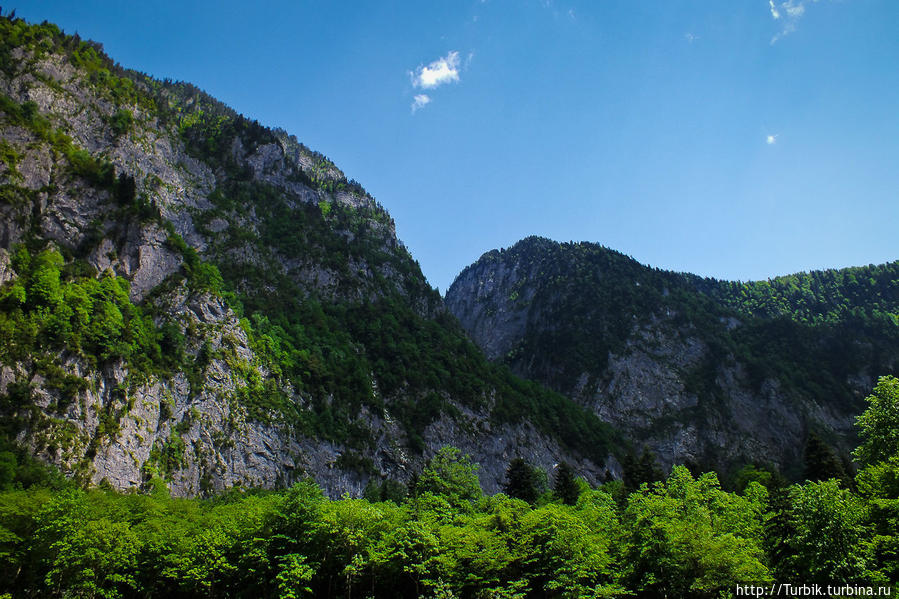 Через Рицу на Гегу Рица Реликтовый Национальный Парк, Абхазия