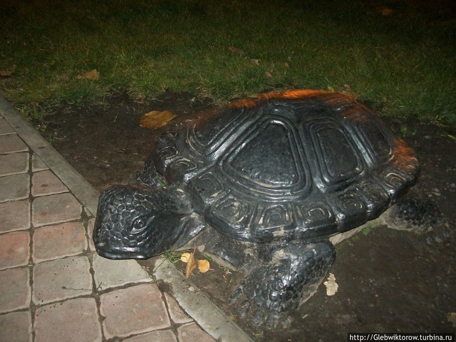 Прогулка по Орше в темноте Орша, Беларусь Прогулка по Орше в темноте Орша, Беларусь