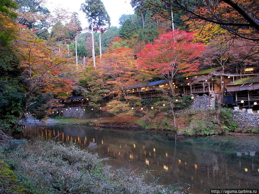 Отель в японском стиле у подножия храма Дзингодзи Отель в японском стиле у подножия храма Дзингодзи