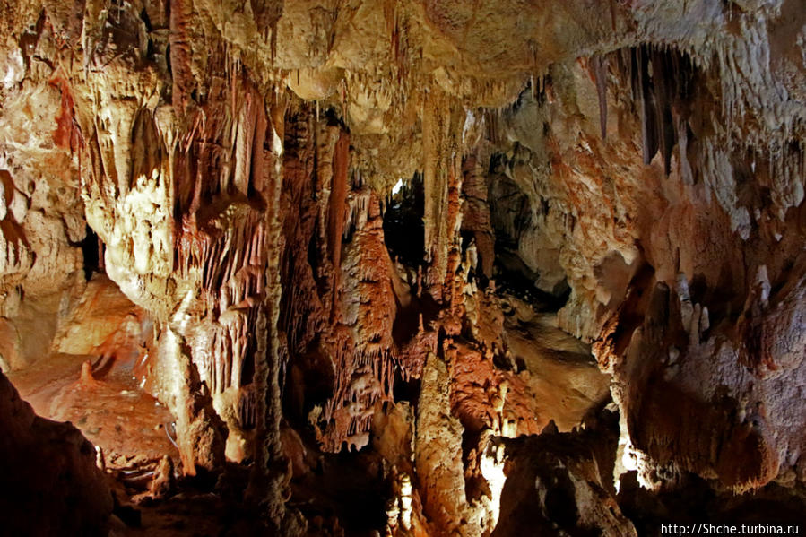 Пещера Петралона / Petralona Cave