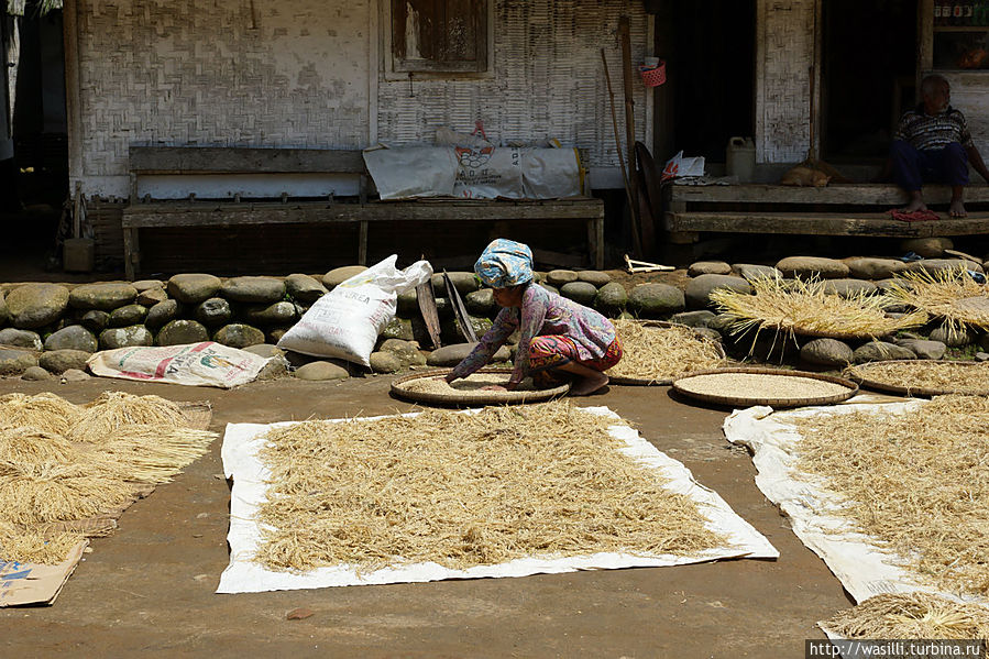 За работой... За работой...