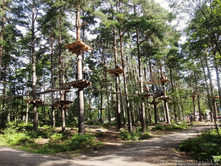 Верёвочный ПАРК ПРИКЛЮЧЕНИЙ KORKEE (Adventure Park Korkee) в Хельсинки, Финляндия