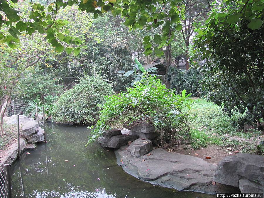 Зоопарк Гуанджоу Гуанчжоу, Китай