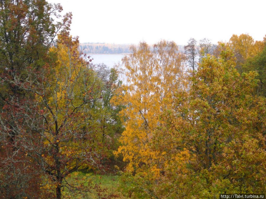 Прощание с Монрепо. Выборг, Россия Прощание с Монрепо. Выборг, Россия