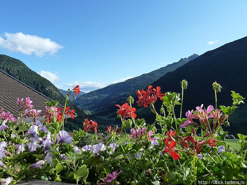 Альпы. No Comment Альпы. No Comment