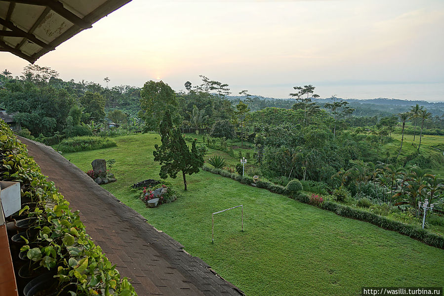 Встаёт солнце. Отель Queen Garden. Встаёт солнце. Отель Queen Garden.