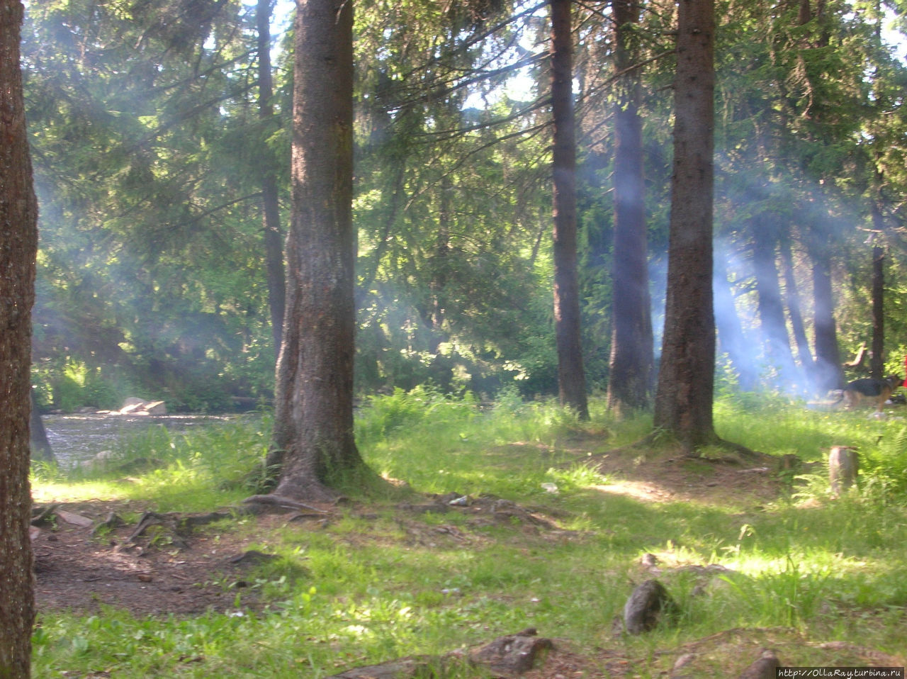 Дым от шашлыков в лучах солнца. Курган Петрозаводск, Россия