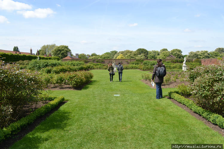Розовый сад, но без роз. Розовый сад, но без роз.