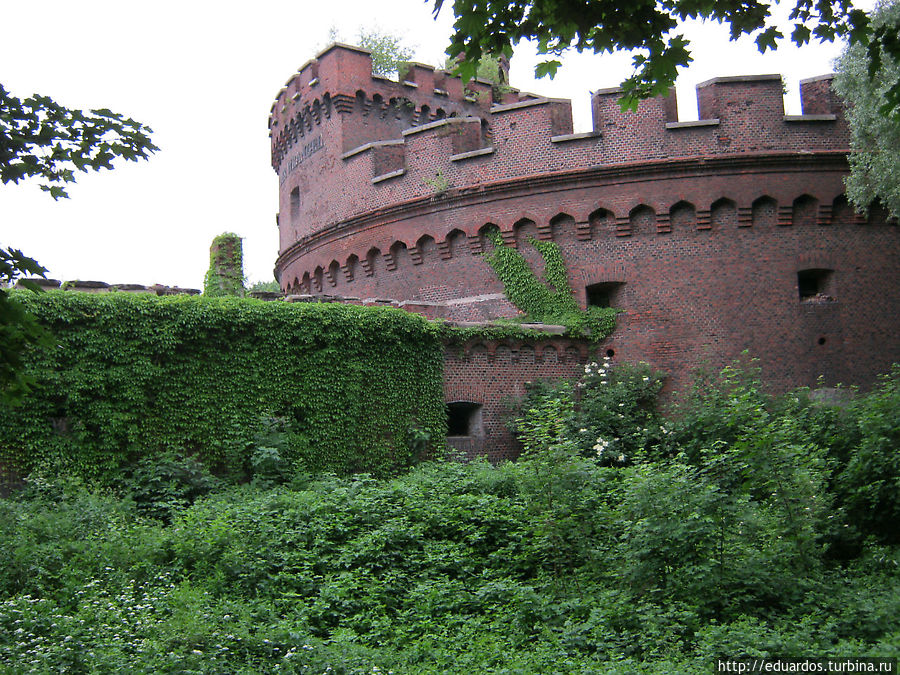 башня Врангеля башня Врангеля