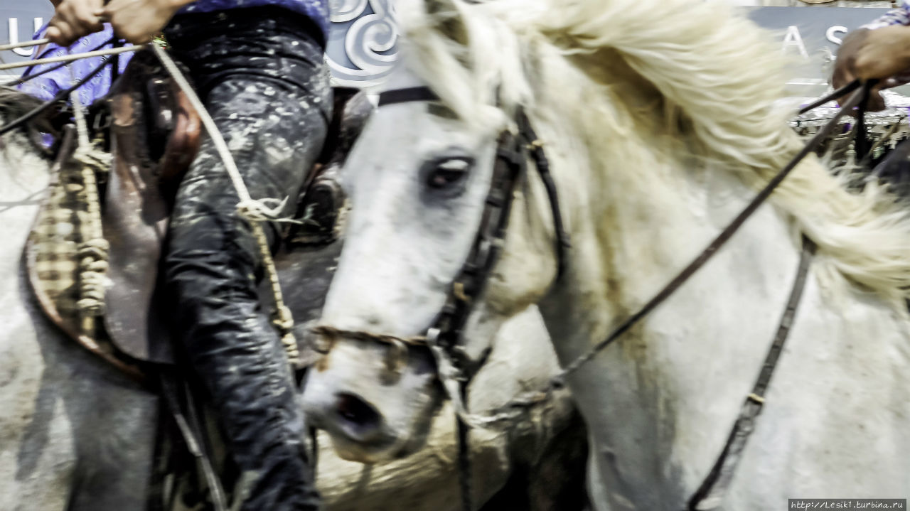 Сент-Мари-де-ла-Мер. Город-праздник Сент-Мари-де-ла-Мер, Франция Сент-Мари-де-ла-Мер. Город-праздник Сент-Мари-де-ла-Мер, Франция