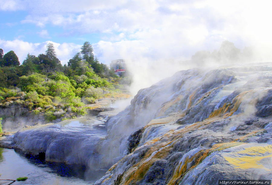 Солевые потоки горячих источников образовали причудливые по цвету пороги Роторуа, Новая Зеландия