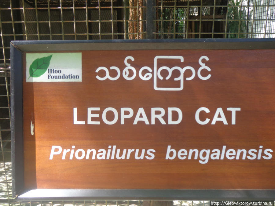 Yangon Zoological Garden Янгон, Мьянма