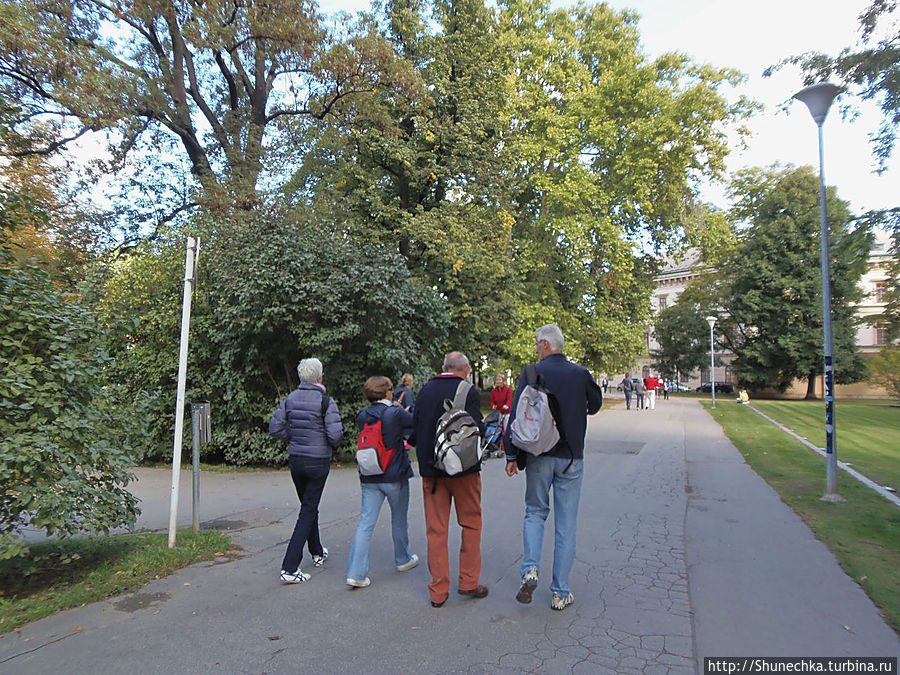 Утро на Кампе Прага, Чехия Утро на Кампе Прага, Чехия