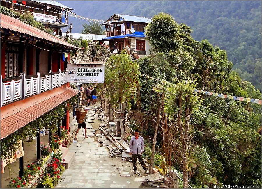 В Джину мы остановились в гестхаусе Ever Green Чомронг, Непал