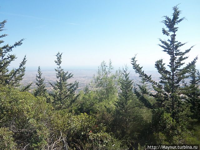 На протяжении всего подъема по обеим сторонам дороги нас сопровождал хвойный лес.Воздух замечательный. На протяжении всего подъема по обеим сторонам дороги нас сопровождал хвойный лес.Воздух замечательный.