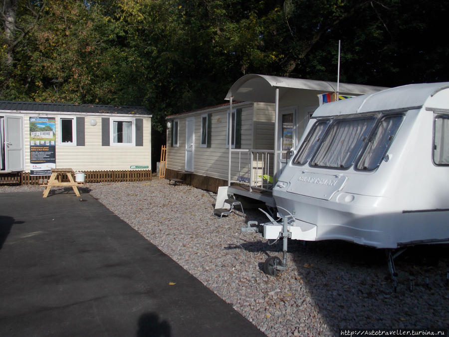 Он появился!!! Он появился!!!