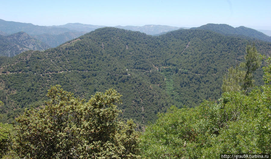 Горный край монастырей, лесов, мёда и вина Горы Троодос, Кипр