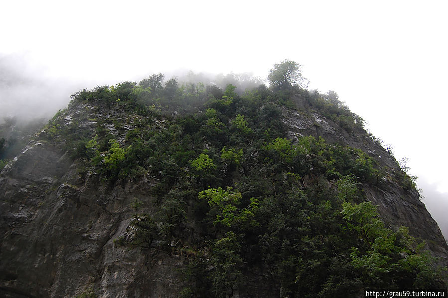 Верх ущелья Гагрский район, Абхазия