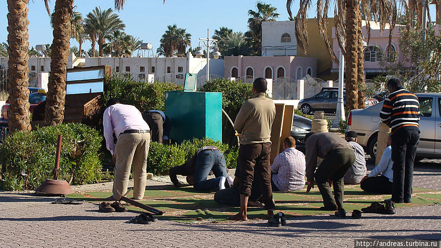 Мусульмане молятся Мусульмане молятся