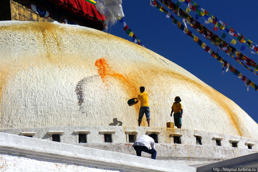 чтобы  отработанным  взмахом  руки  выплеснуть  краску и восстановить  подпорченную  многочисленными  голубями  красоту  купола. Катманду, Непал