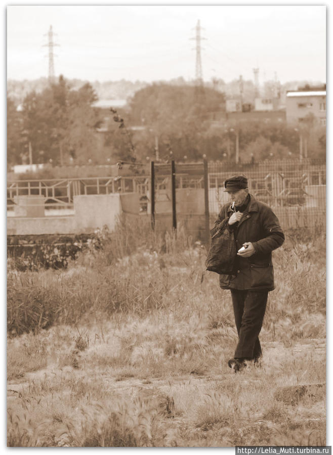 Чайки в Челябинске... Чайки в Челябинске...