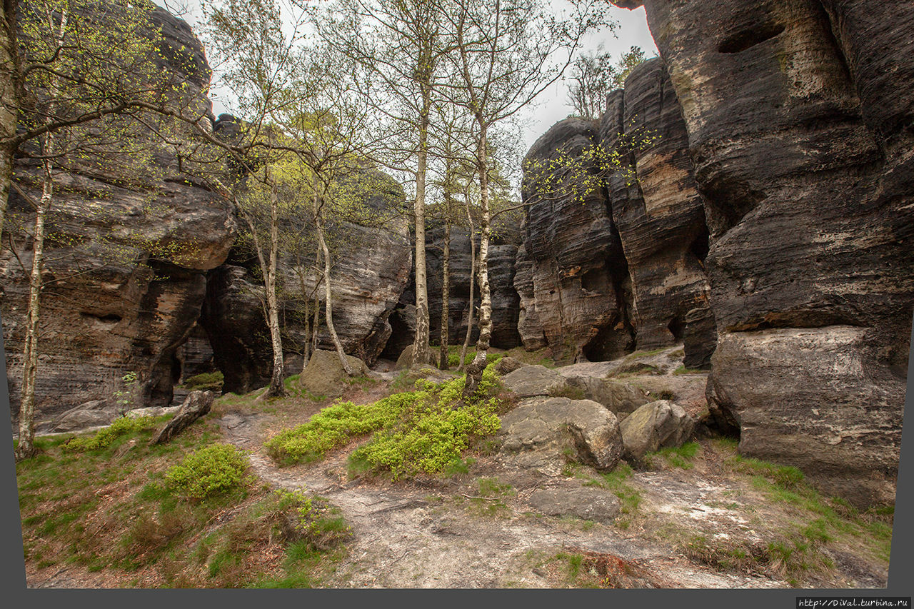 В лабиринте Тиских скал.Часть 2-я: 2015 год Чешская Швейцария Национальный Парк, Чехия