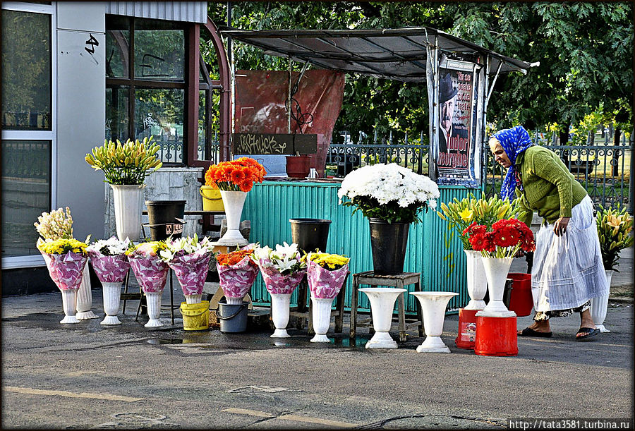 Бухарестская цветочница Бухарестская цветочница