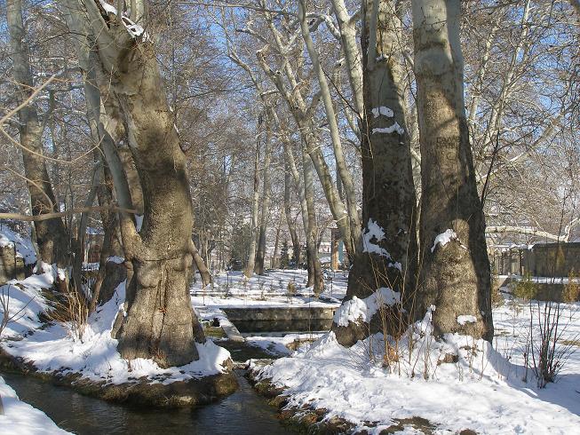 Ургут, комплекс «Чор Чино