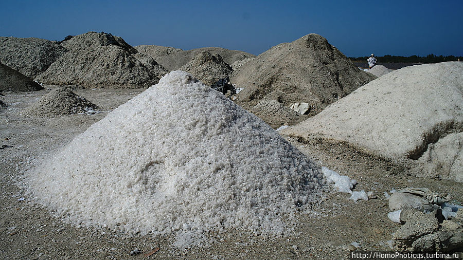 Негры с солью, или вокруг гламурного озера Дакар, Сенегал