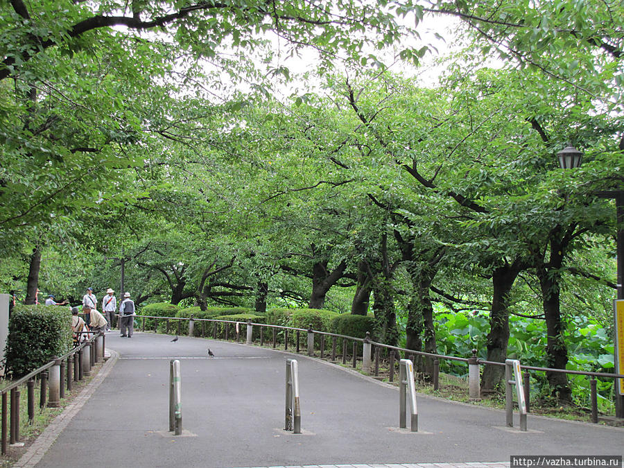 Прогулка по парку Уэно. Токио, Япония