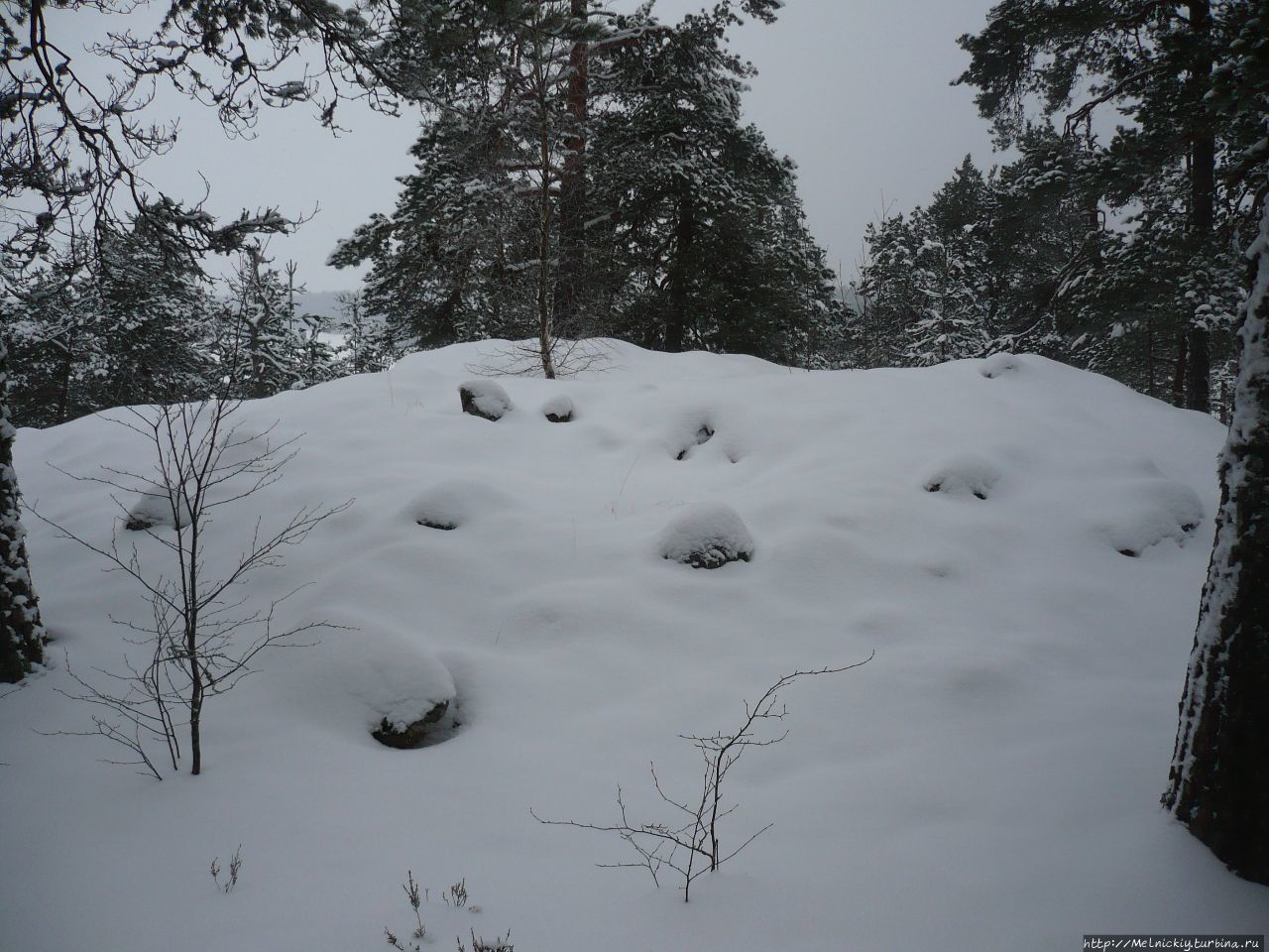 Гора Крейансбергет Сиунтио, Финляндия