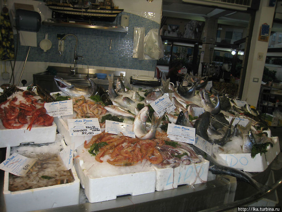 кафешка Террачина, Италия кафешка Террачина, Италия