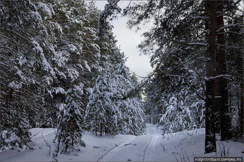 Тайна затерянного края Шатура, Россия