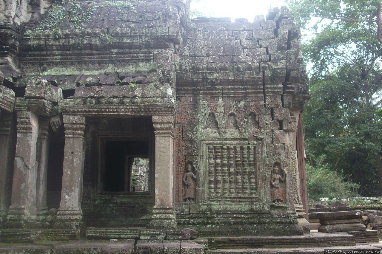 Храм Та Пром Ангкор (столица государства кхмеров), Камбоджа