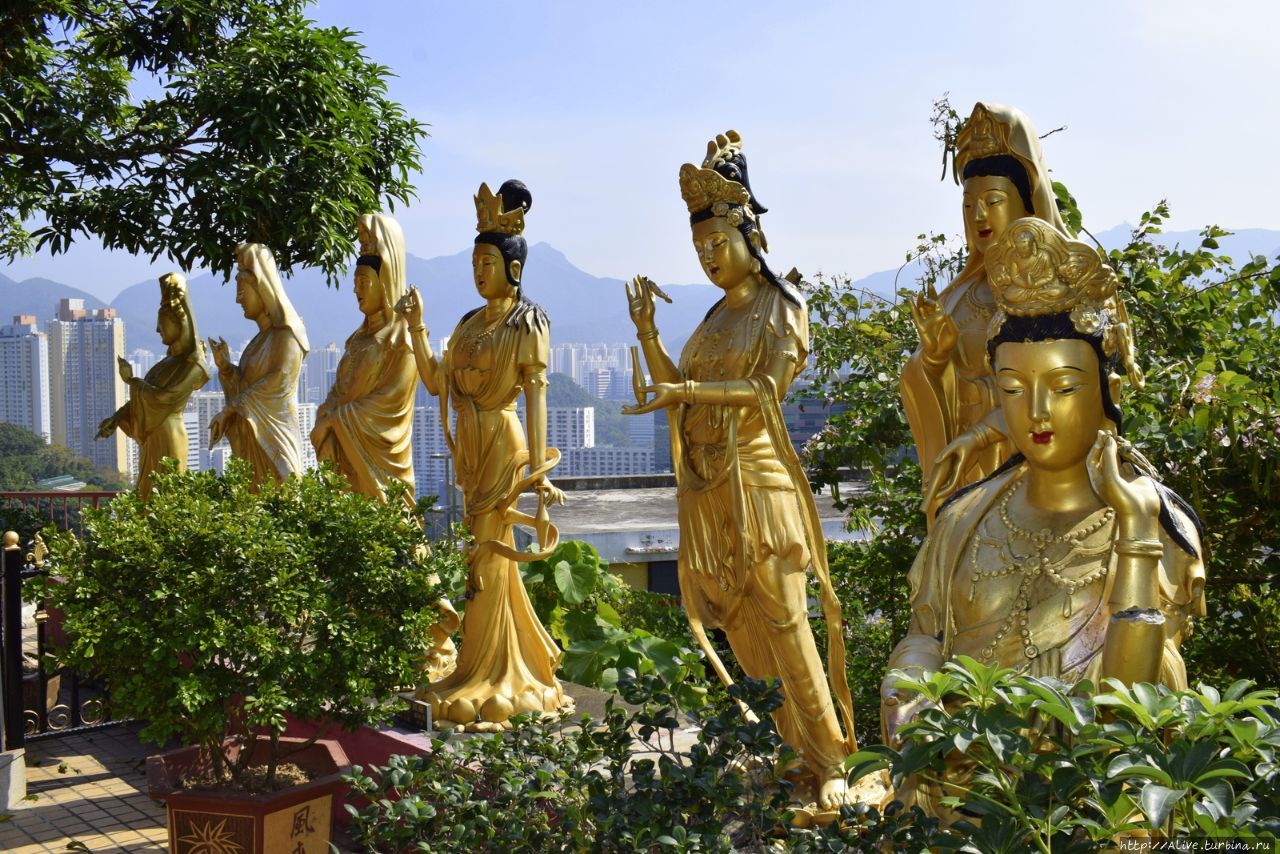 Путь Тысячи Будд – неизученными тропами Гонконга и Камбоджи