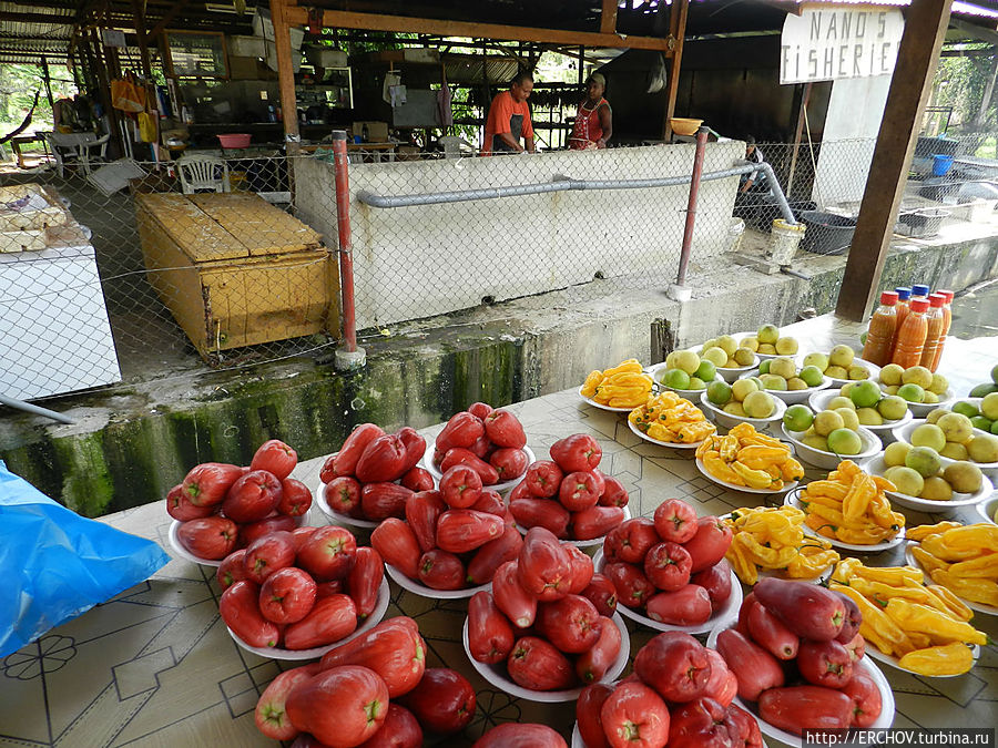 Неизвестный Суринам и легендарный Парамарибо Суринам Неизвестный Суринам и легендарный Парамарибо Суринам