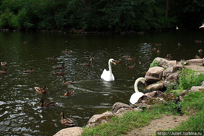 Прогулка в Ботаническом саду: живописно, тихо, уединенно Паланга, Литва Прогулка в Ботаническом саду: живописно, тихо, уединенно Паланга, Литва