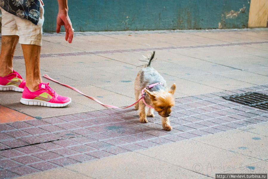 Старый Ситжес Ситжес, Испания Старый Ситжес Ситжес, Испания