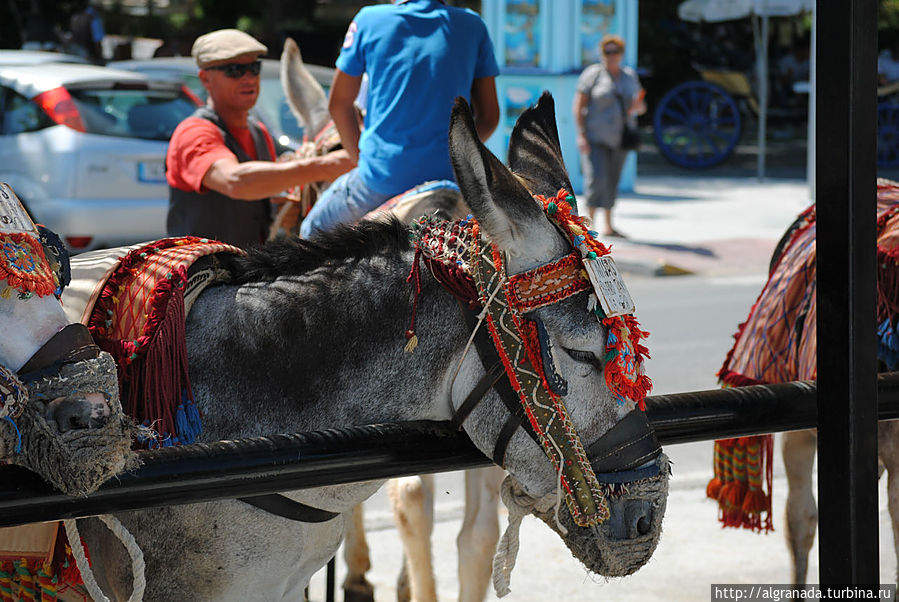 еще одно такси Михас, Испания еще одно такси Михас, Испания