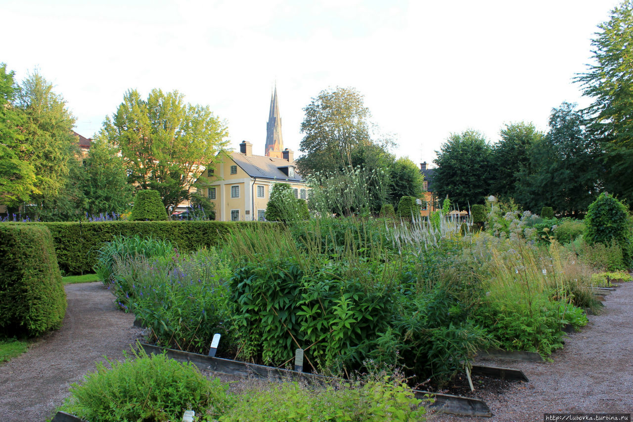 Сад Линнея Уппсала, Швеция Сад Линнея Уппсала, Швеция