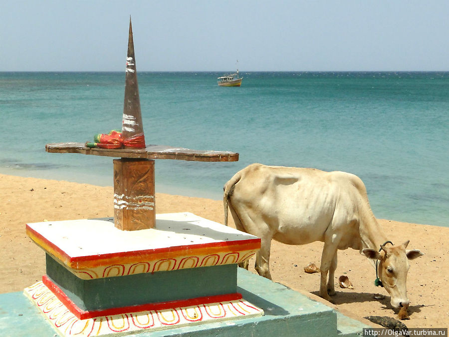 ...и на берегу океана Тринкомали, Шри-Ланка