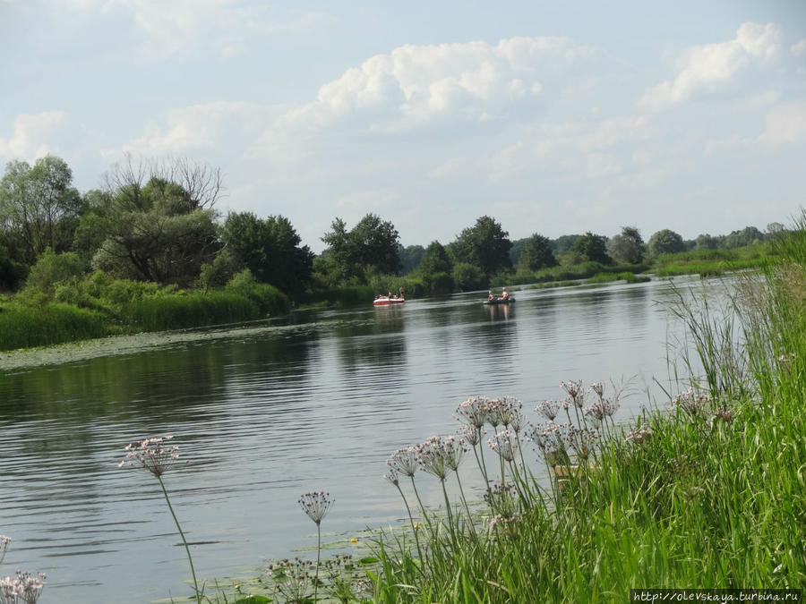 Рамонь и Нелжа Рамонь, Россия